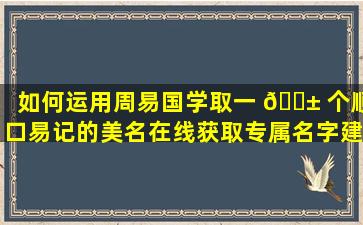 如何运用周易国学取一 🐱 个顺口易记的美名在线获取专属名字建议！